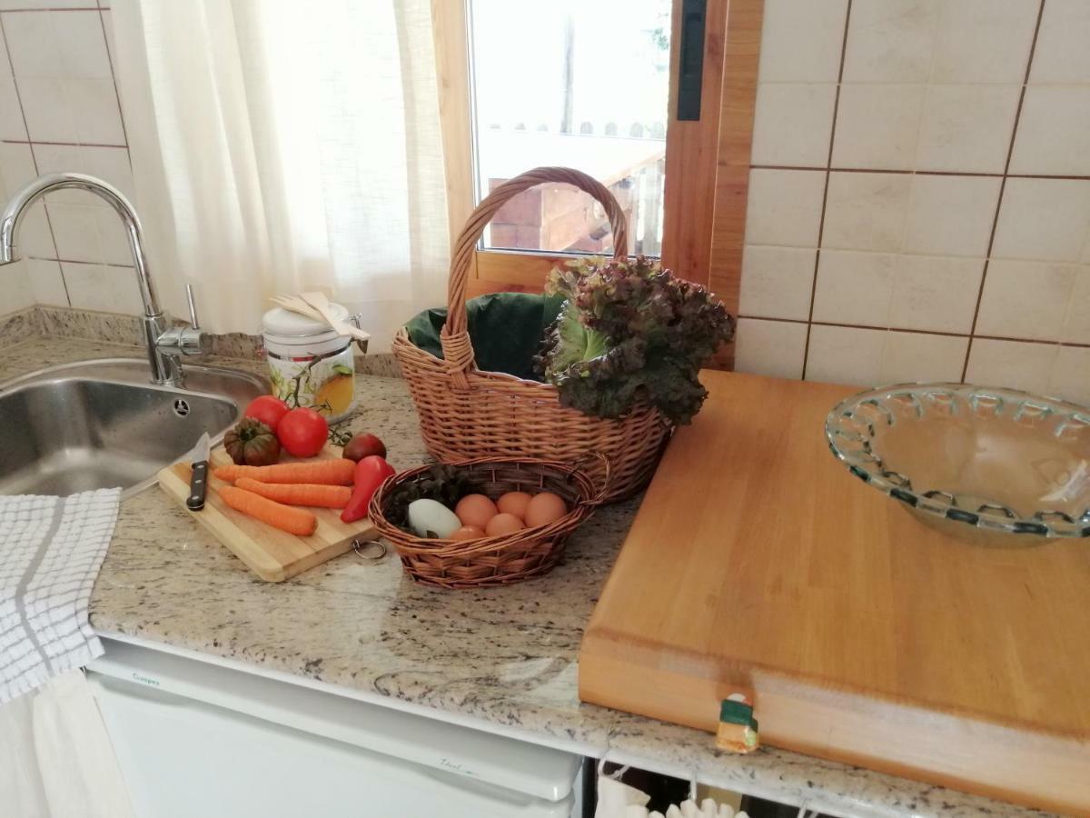 Casita Nekagarden Villa Vigo Kültér fotó